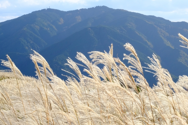 金剛山